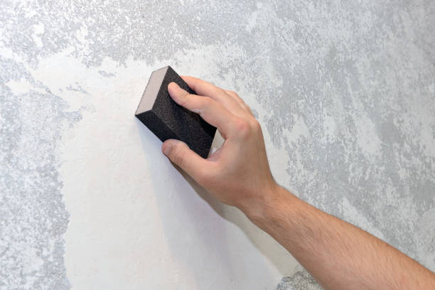 Trusted Tyhee, ID Mold Removal Experts