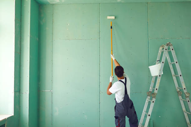 Best Post-Construction Mold Inspection  in Tyhee, ID