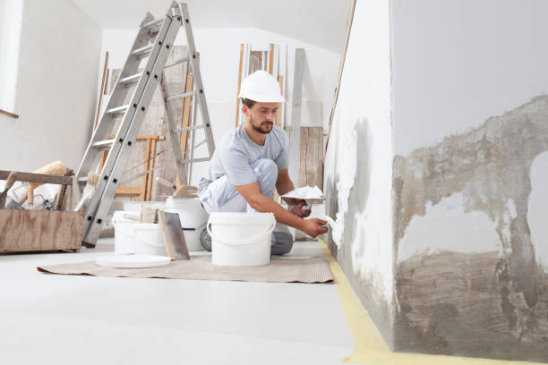 Best Emergency Mold Remediation  in Tyhee, ID