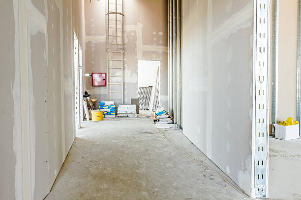 Best Black Mold Removal  in Tyhee, ID